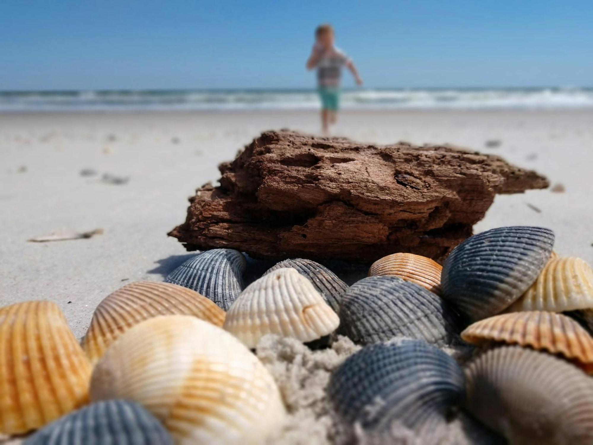 Inn New 2025-ocean Sands Boutique -sauna And Saltwater-mineral Pool Until 4am-free Bikes And Golf Carts For Famous Beach-50 Item Breakfast Buffet -pm Cookies And Popcorn -ultra Sparkling Certified-free Laundry -4 Grand Black Beds In R